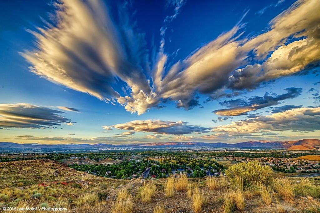 Image of the Truckee Meadows with shrub grasses in foreground and striking clouds in the sky.