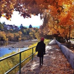 Image of a figure walking along the Truckee River with colorful fall leaves on the trees.