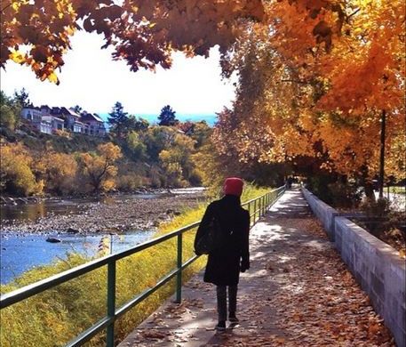 Image of a figure walking along the Truckee River with colorful fall leaves on the trees.