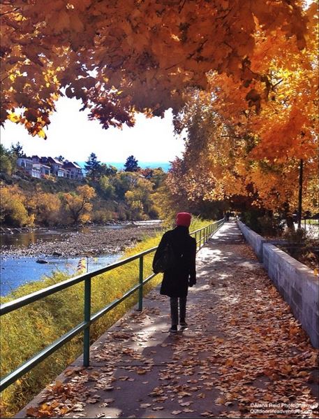 Image of a figure walking along the Truckee River with colorful fall leaves on the trees.