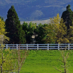 Two walkers in Rancho San Rafael Park