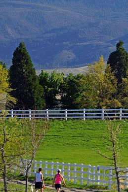 Two walkers in Rancho San Rafael Park